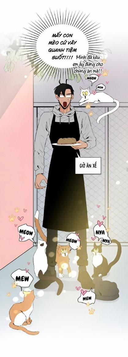 Bona Sort (End) 22 trang 33