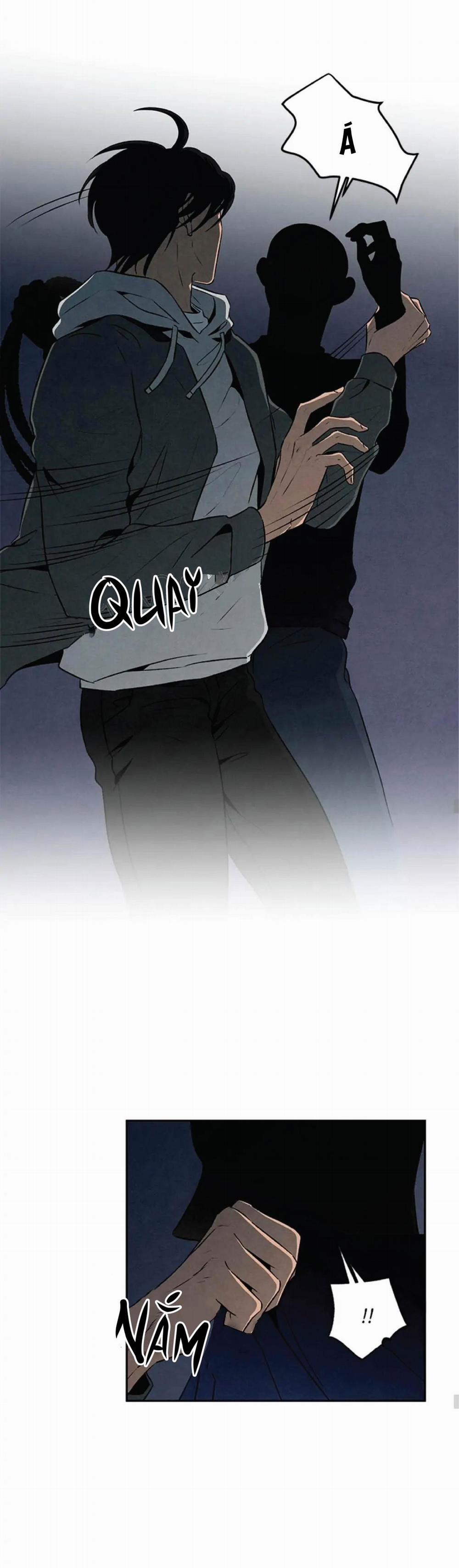 Bona Sort (End) 25 trang 12