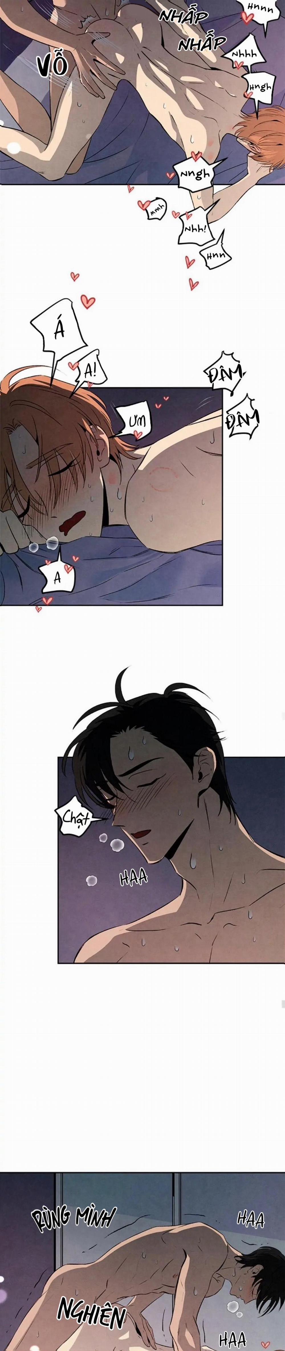 Bona Sort (End) 28 H+ trang 13