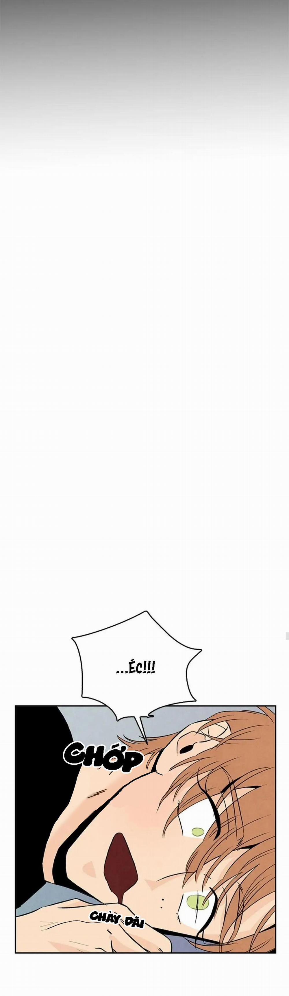 Bona Sort (End) 31 trang 23