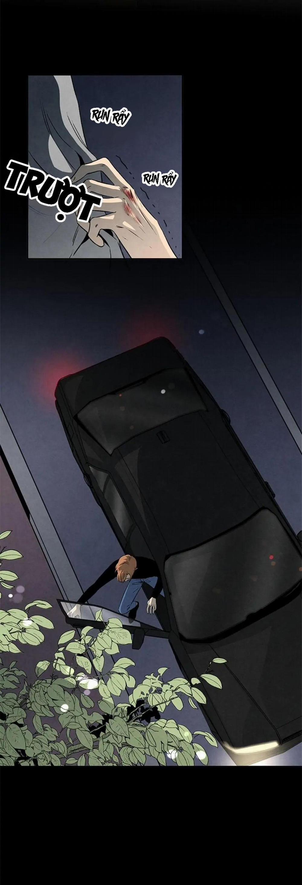 Bona Sort (End) 31 trang 5