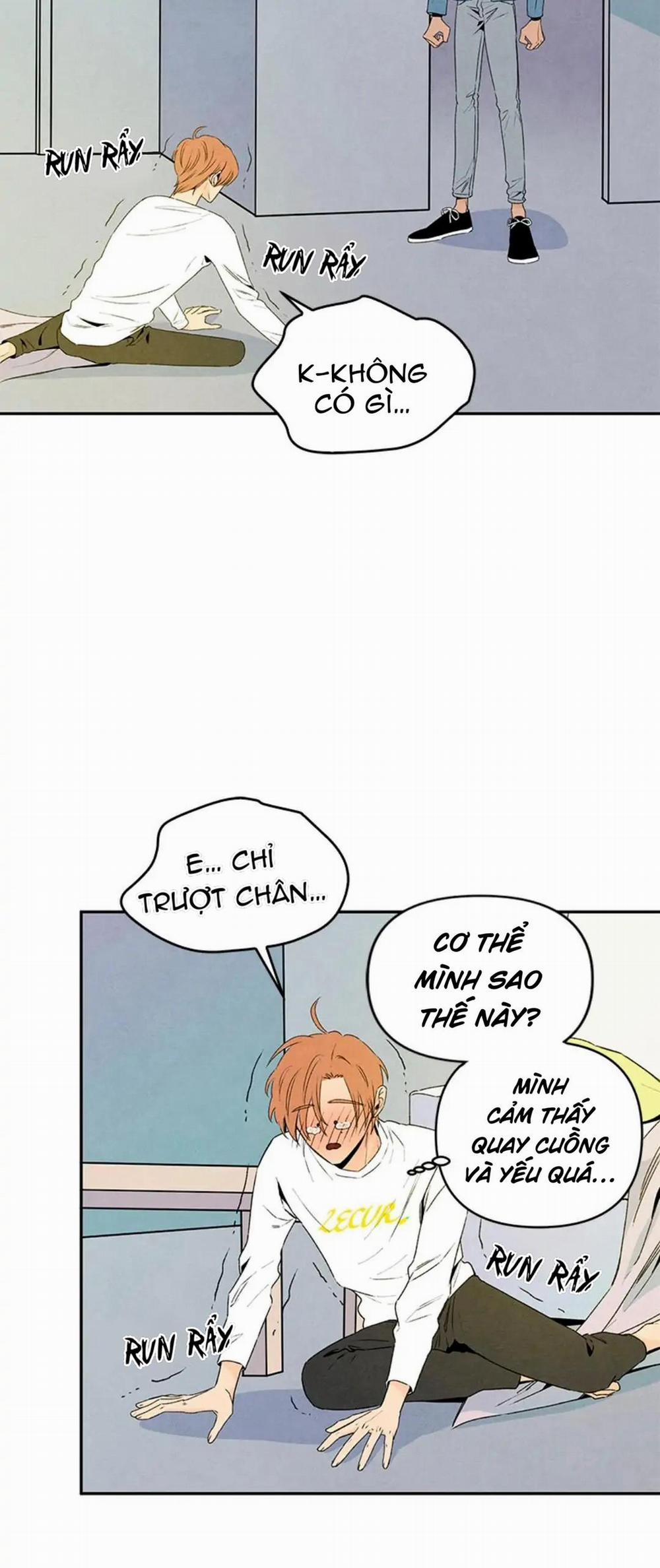 Bona Sort (End) 32 trang 12