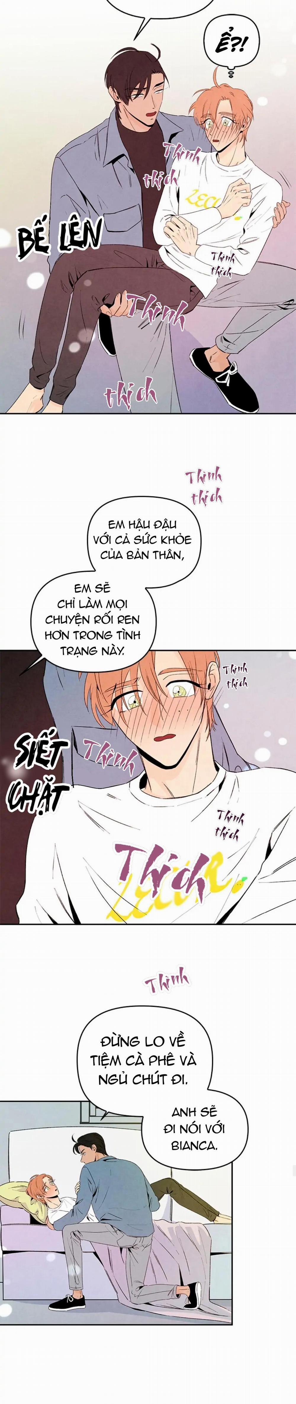 Bona Sort (End) 32 trang 15