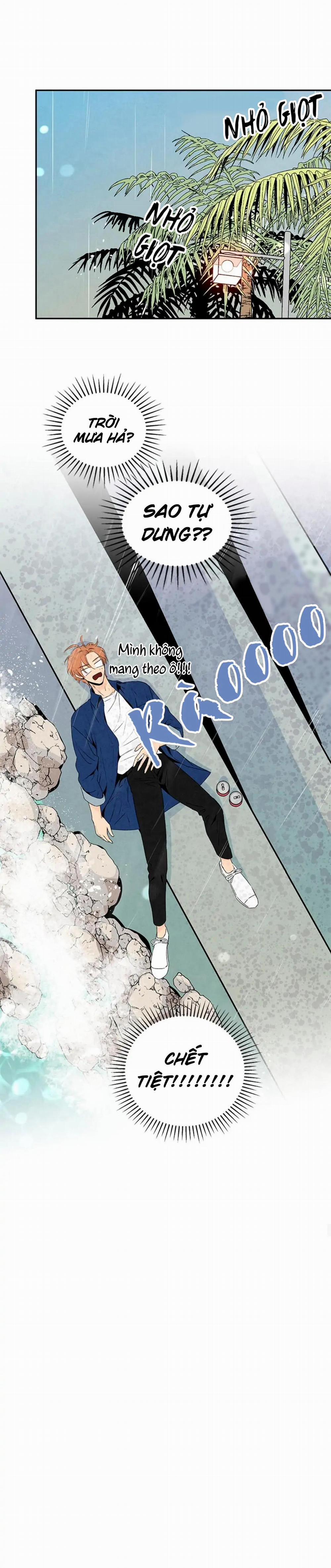 Bona Sort (End) 32 trang 6