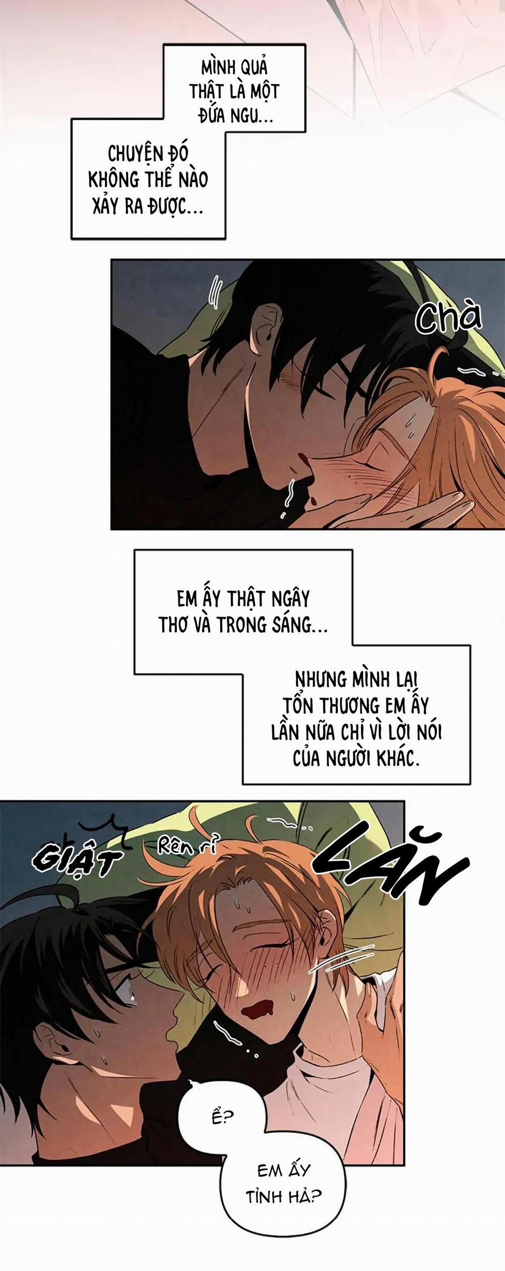 Bona Sort (End) 33 trang 11