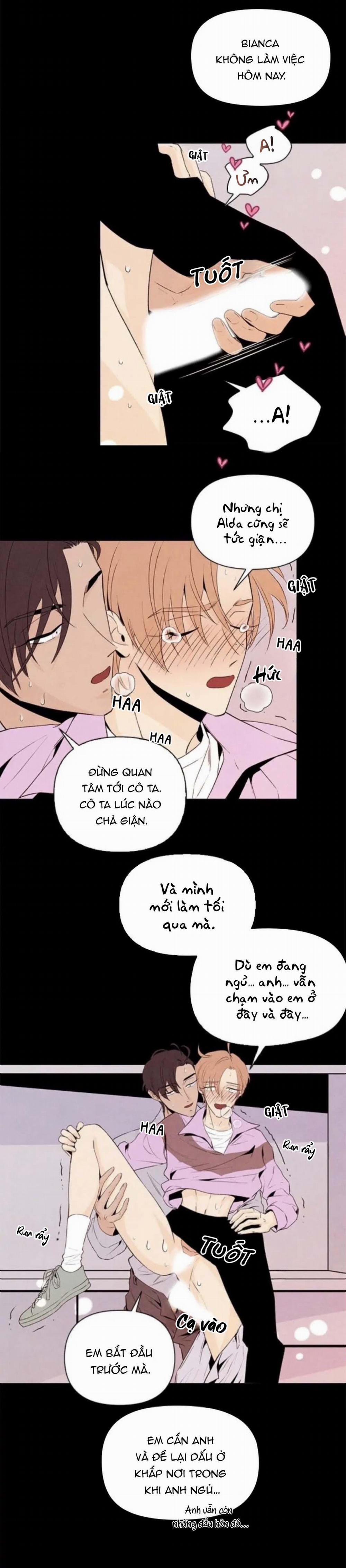 Bona Sort (End) 34 trang 13