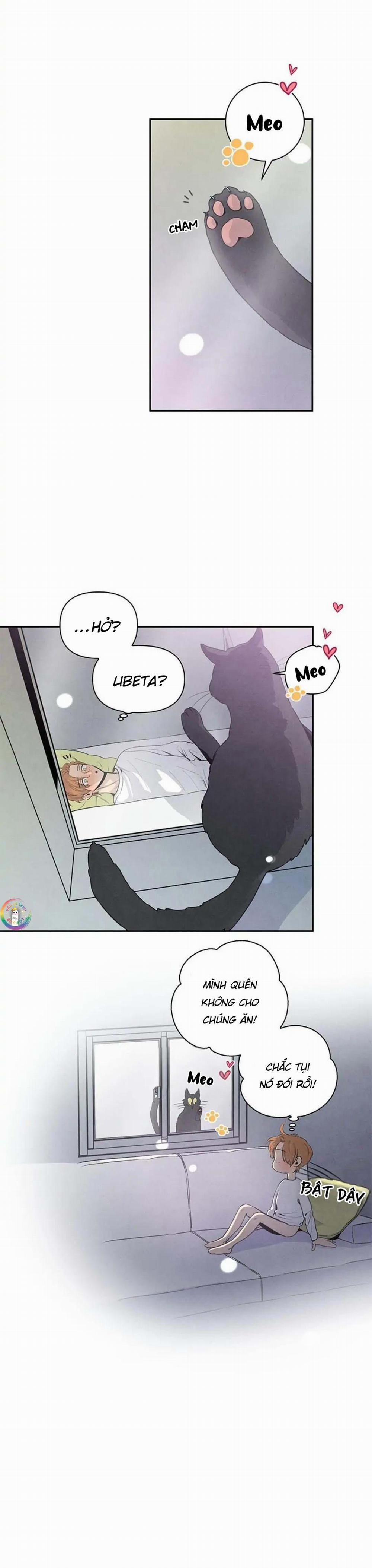 Bona Sort (End) 34 trang 20