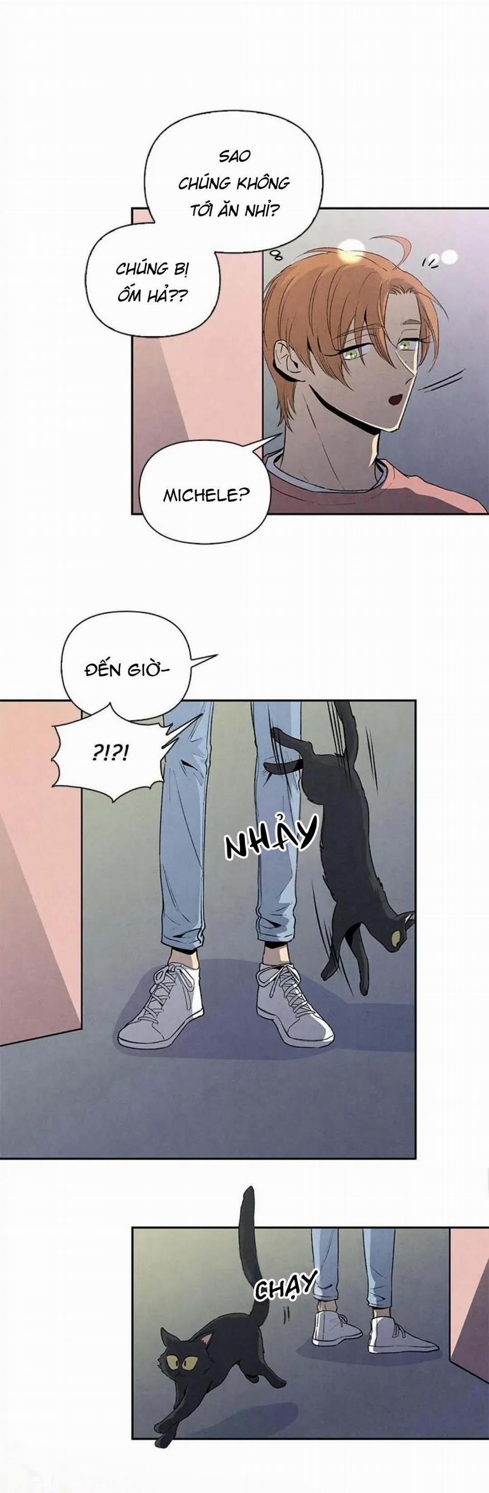 Bona Sort (End) 34 trang 24