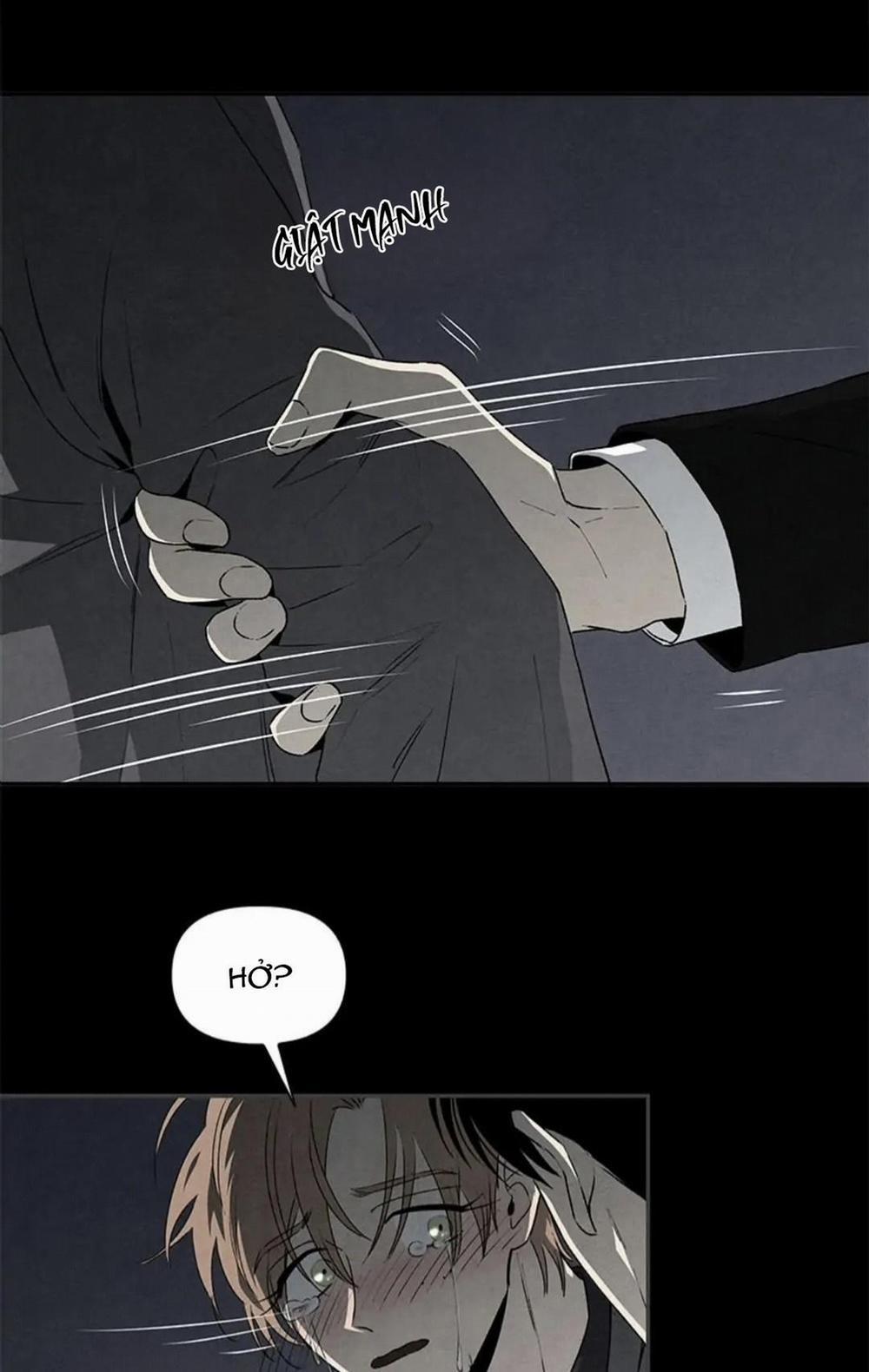 Bona Sort (End) 36 0 trang 41