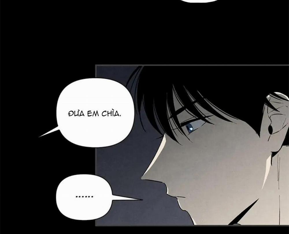 Bona Sort (End) 36 trang 13