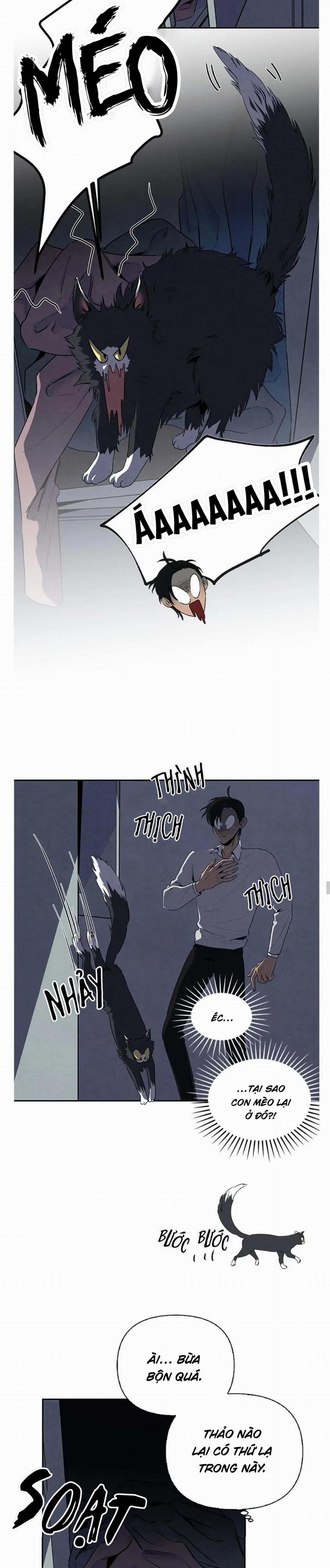 Bona Sort (End) 39 trang 6