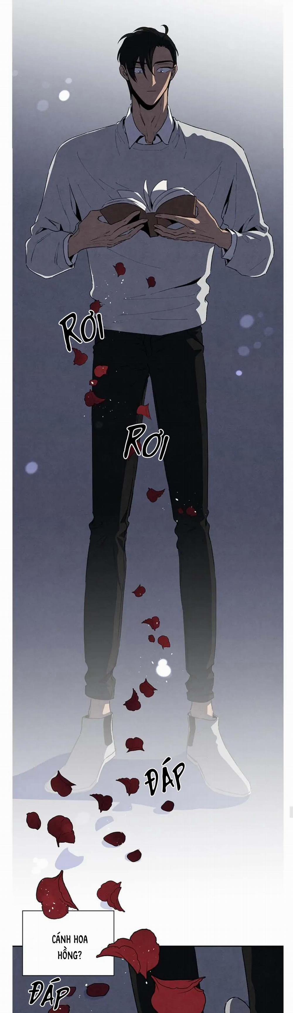 Bona Sort (End) 39 trang 8