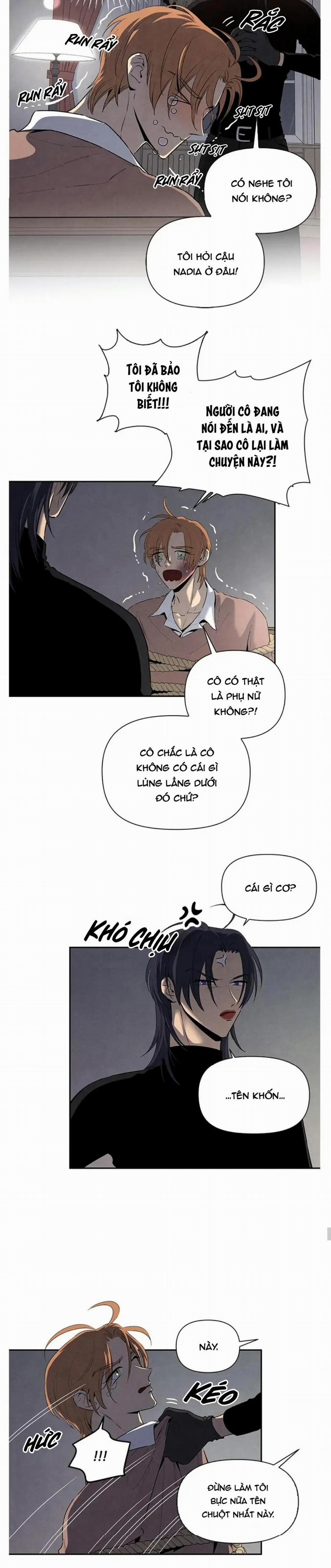 Bona Sort (End) 43 trang 8