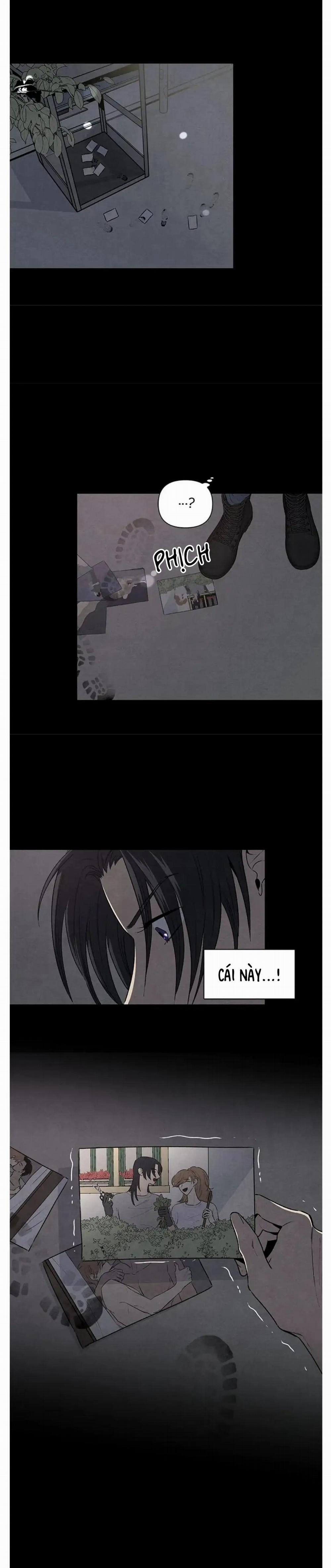 Bona Sort (End) 44 trang 3