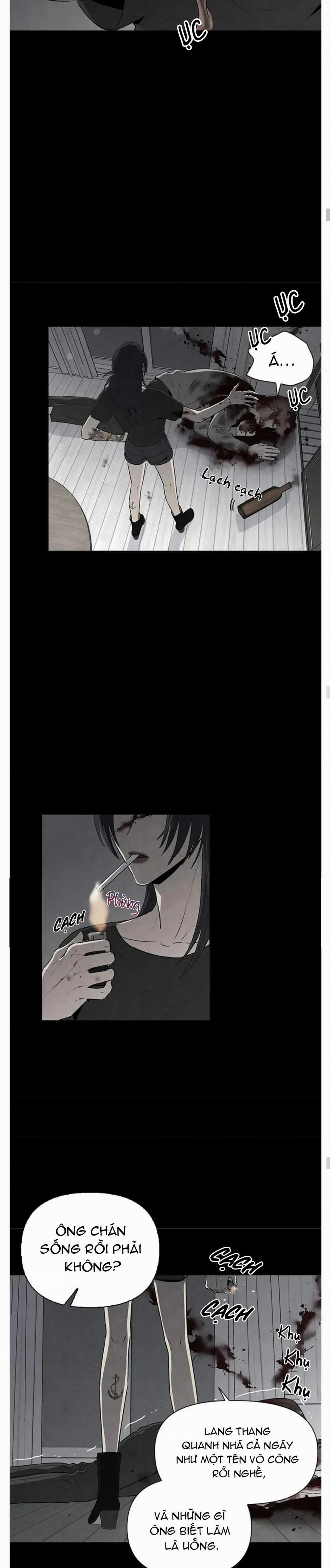 Bona Sort (End) 44 trang 8