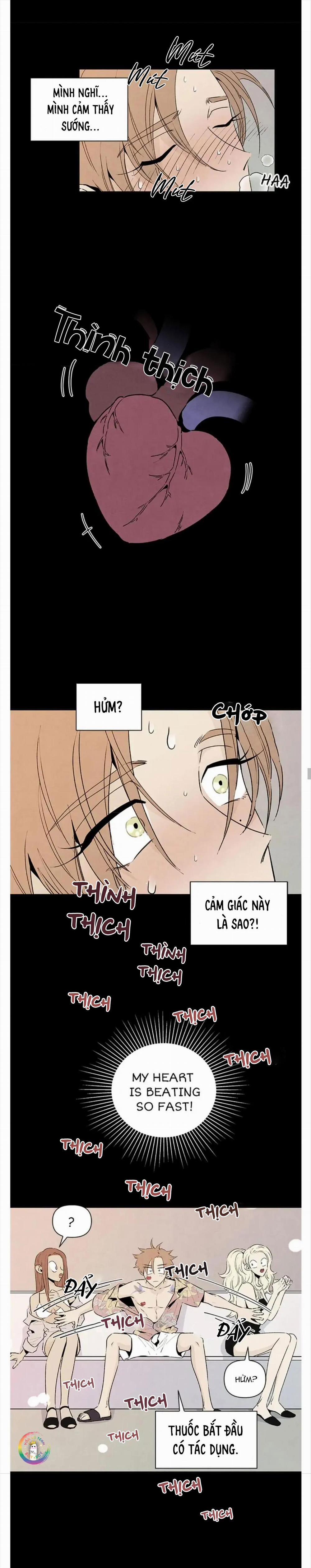 Bona Sort (End) 45 trang 12