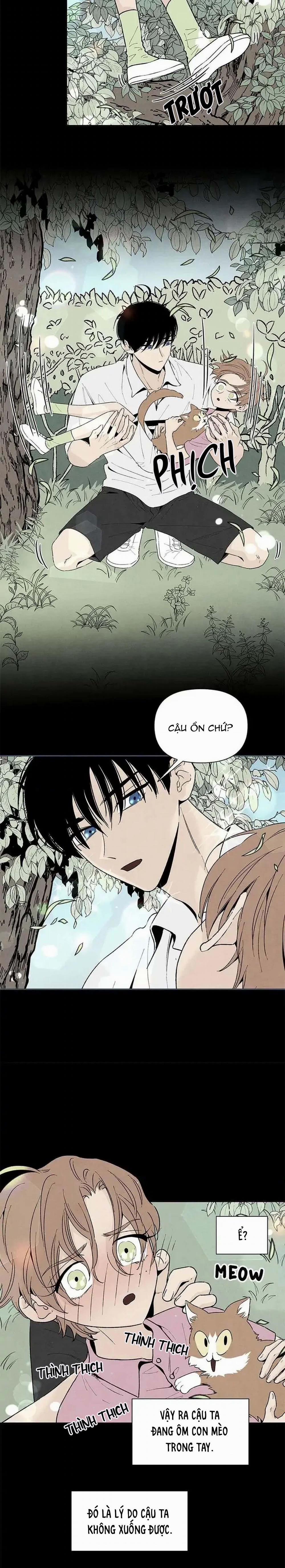 Bona Sort (End) 52 trang 3