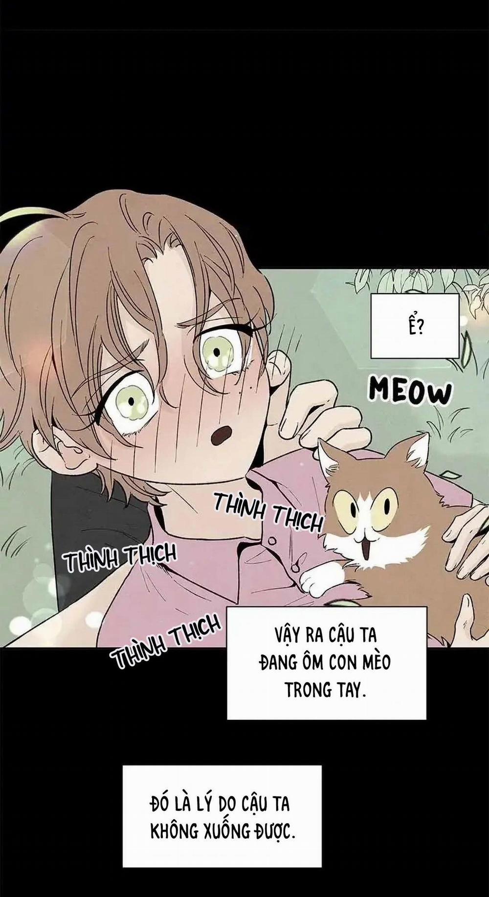 Bona Sort (End) 53 trang 11