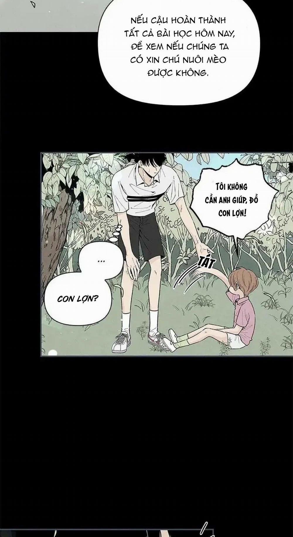 Bona Sort (End) 53 trang 14