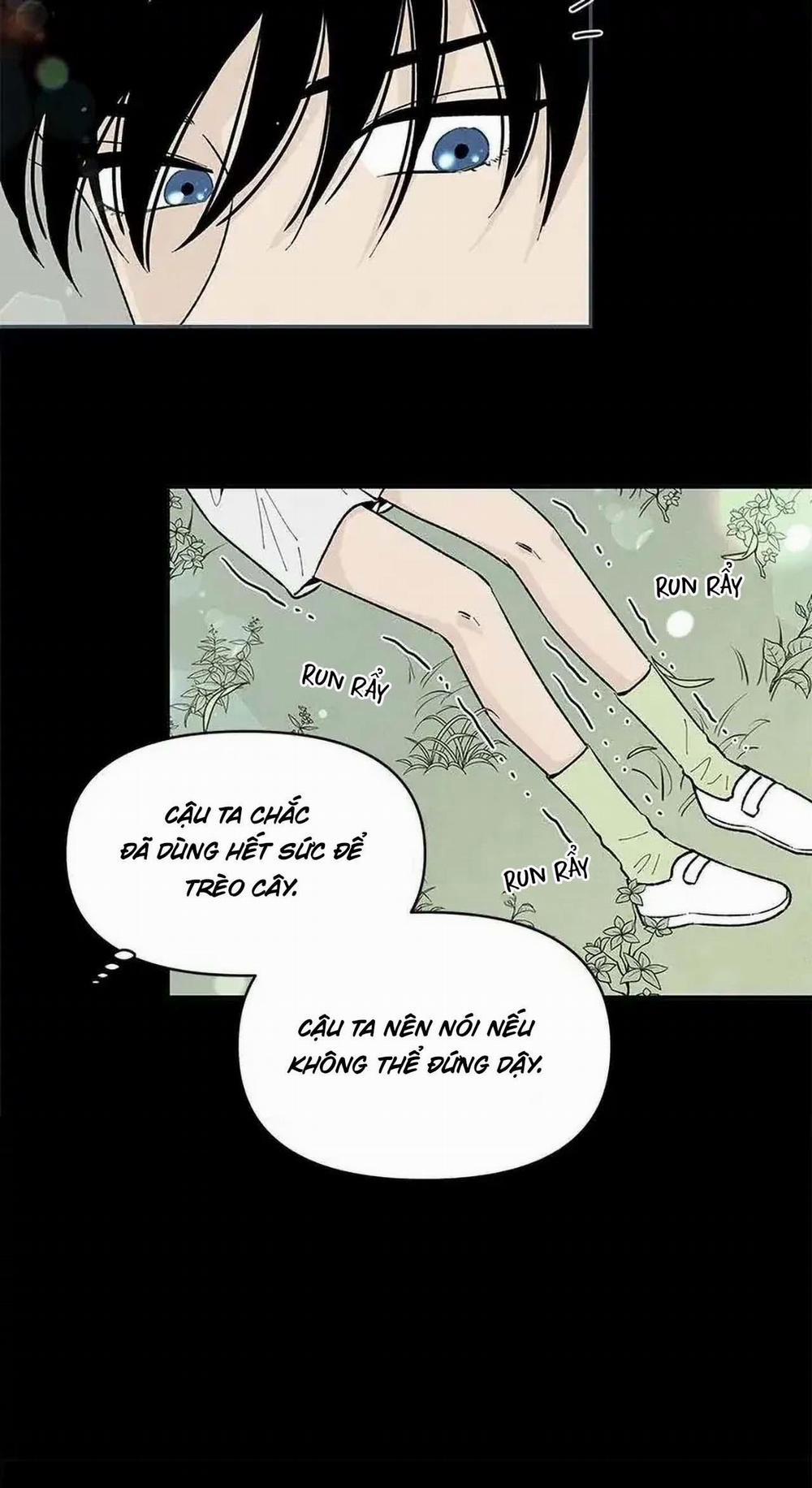 Bona Sort (End) 53 trang 15