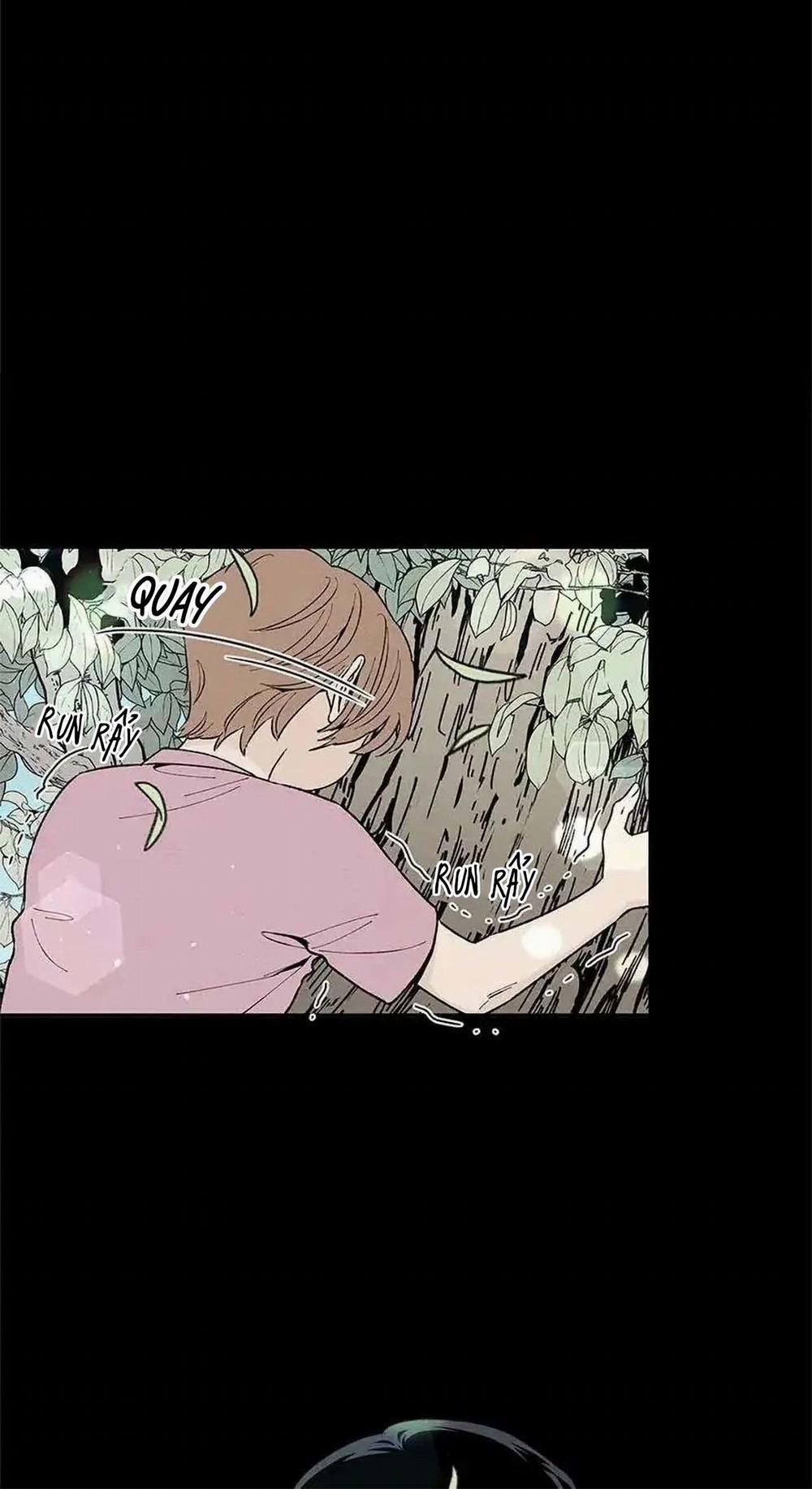 Bona Sort (End) 53 trang 5