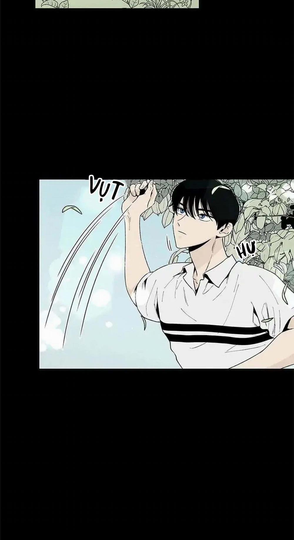 Bona Sort (End) 53 trang 7