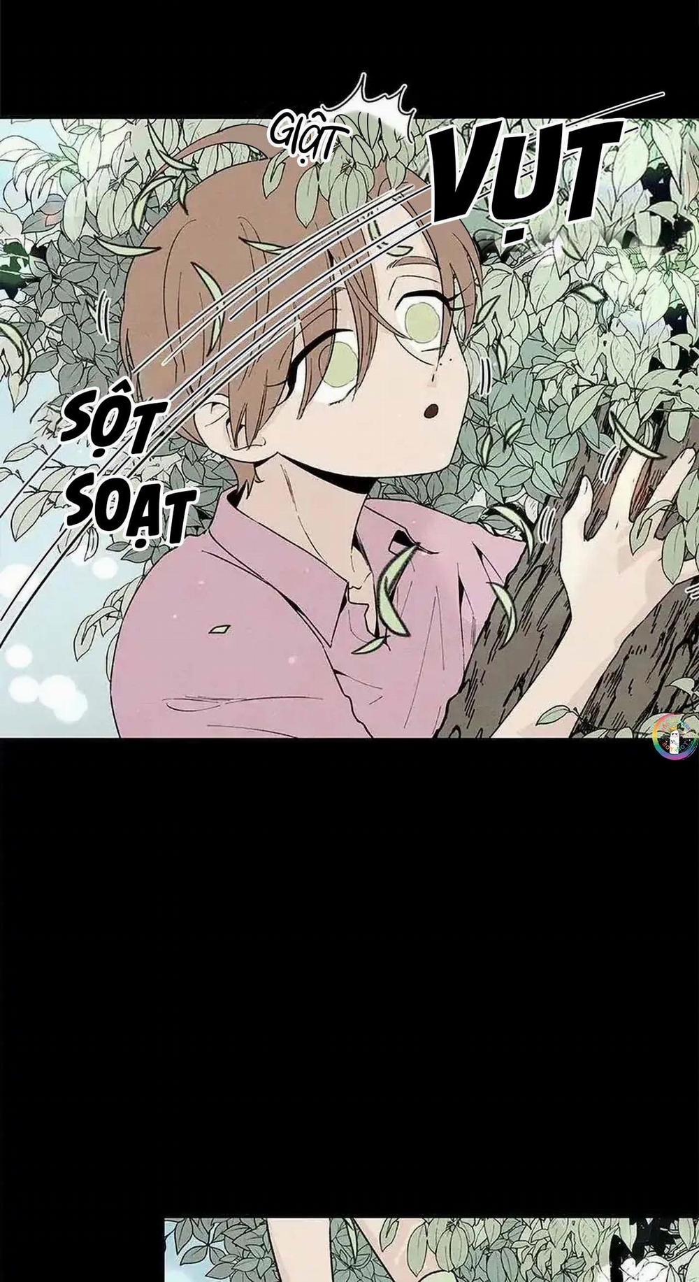 Bona Sort (End) 53 trang 8