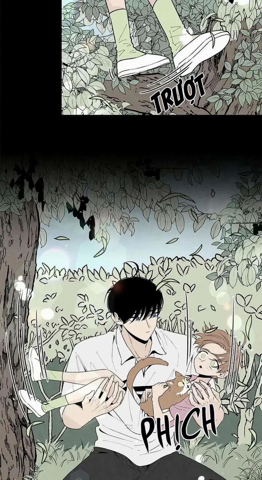 Bona Sort (End) 53 trang 9