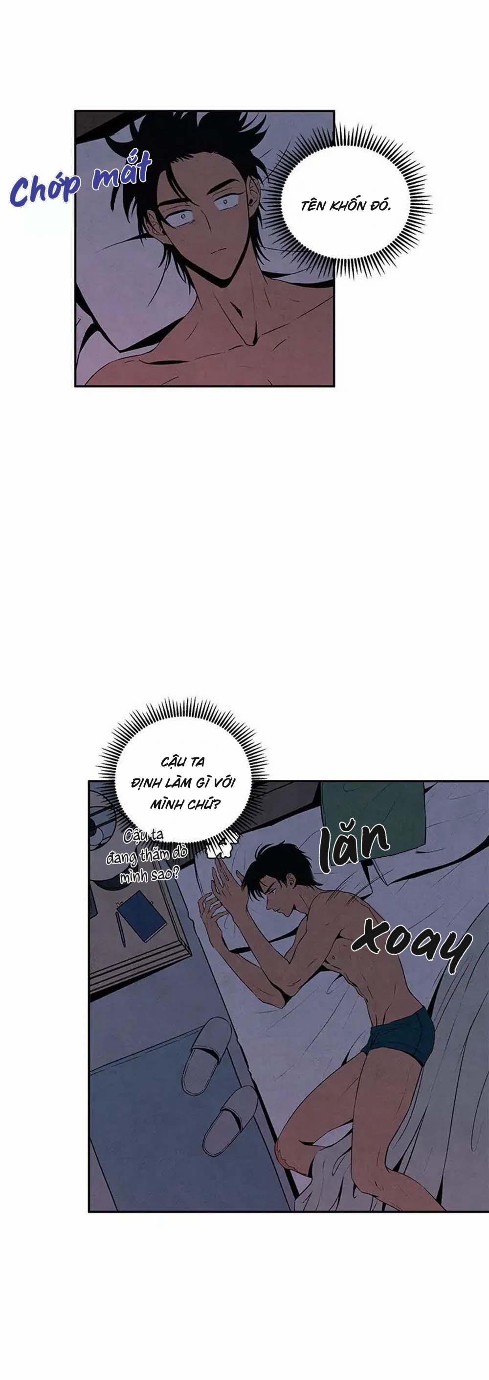 Bona Sort (End) 6 trang 1