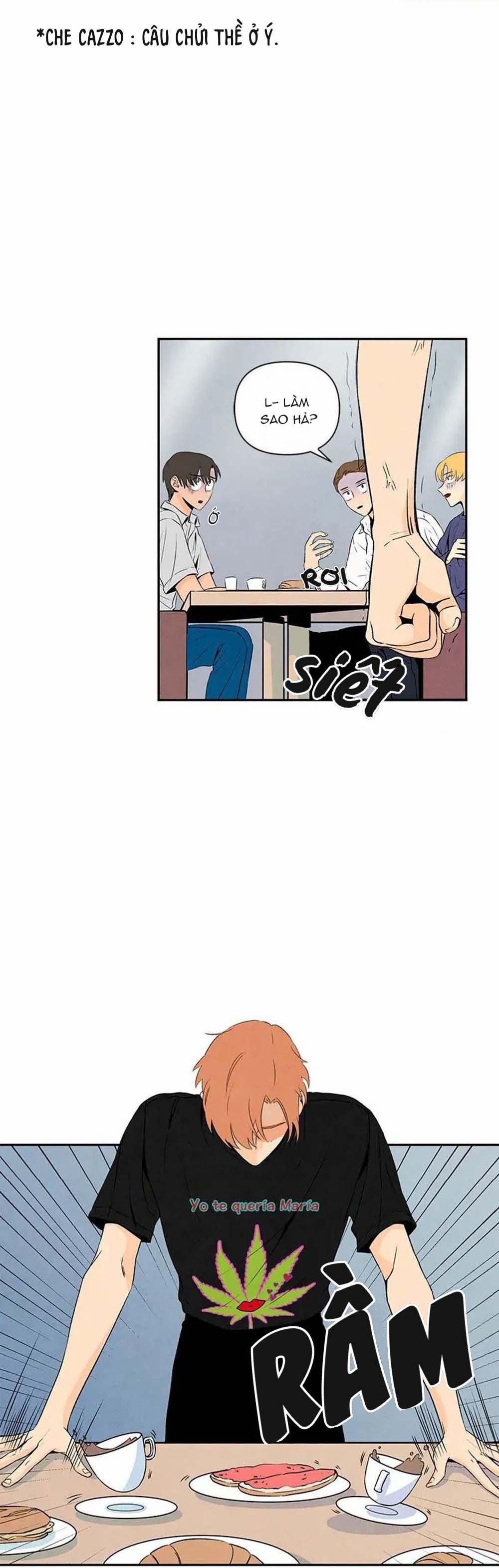 Bona Sort (End) 6 trang 13