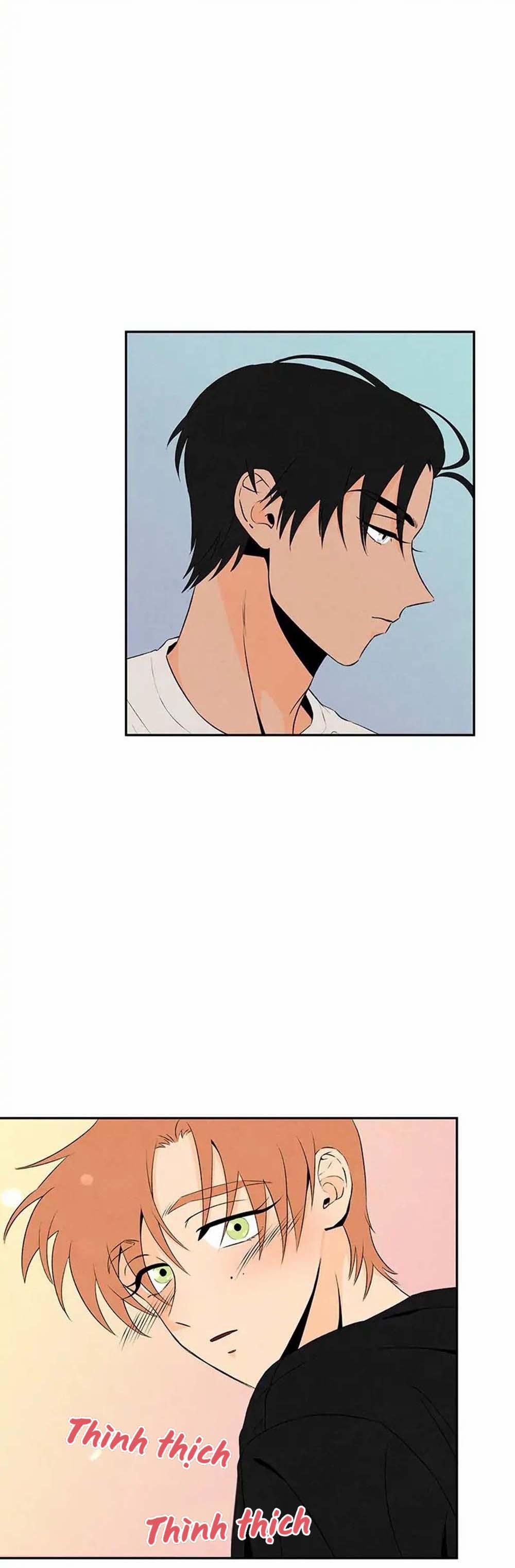 Bona Sort (End) 6 trang 35