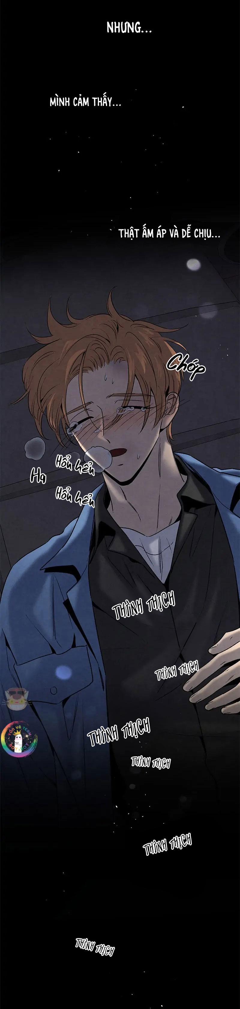 Bona Sort (End) 60 trang 56