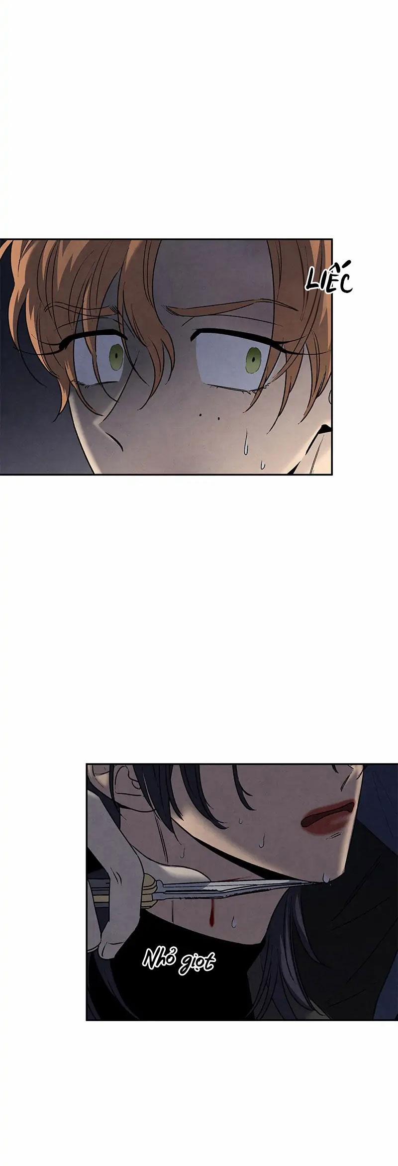 Bona Sort (End) 60 trang 6