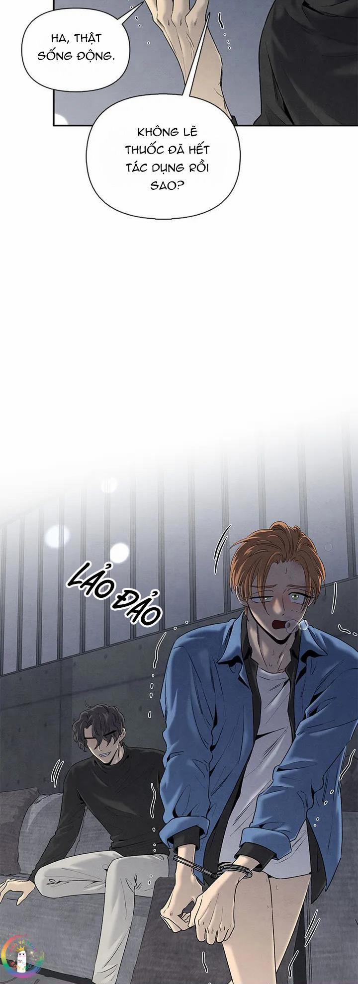 Bona Sort (End) 63 trang 8