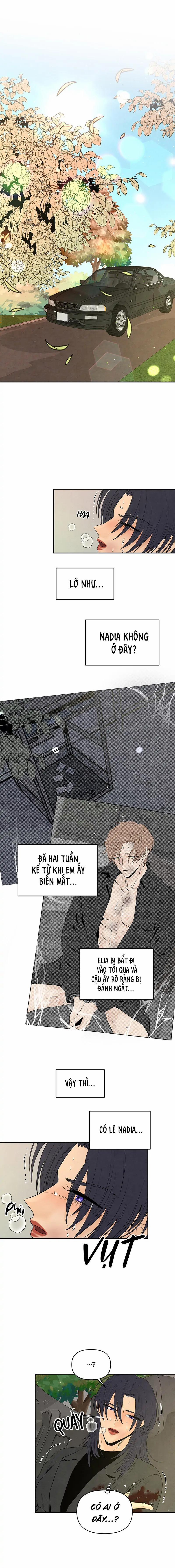 Bona Sort (End) 68 trang 5