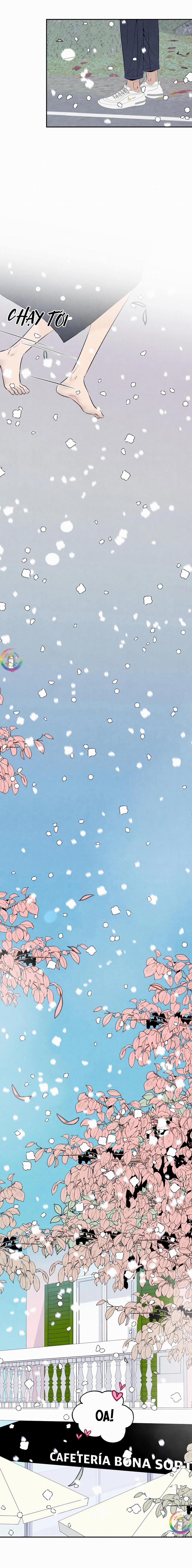 Bona Sort (End) 70 End chínhtruyện trang 24