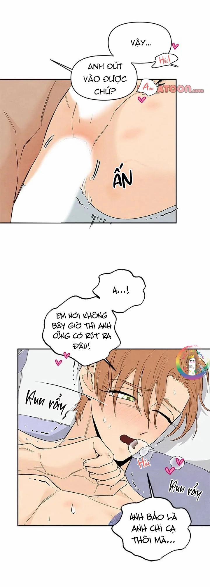 Bona Sort (End) 71 NT1 trang 24