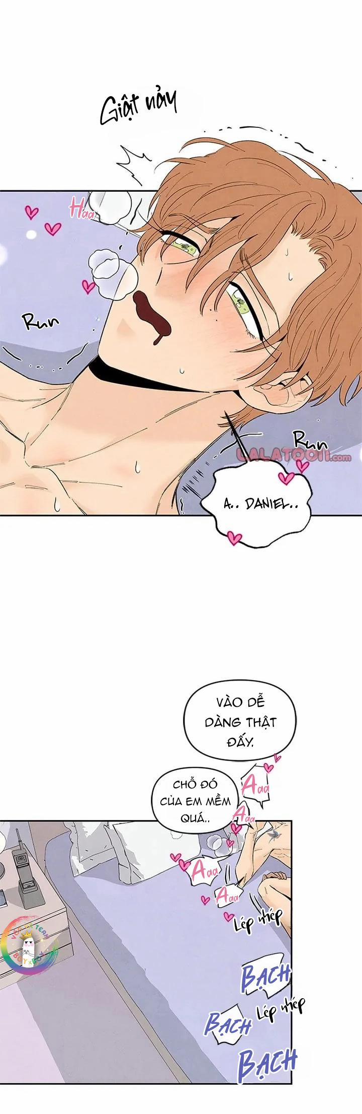 Bona Sort (End) 71 NT1 trang 26