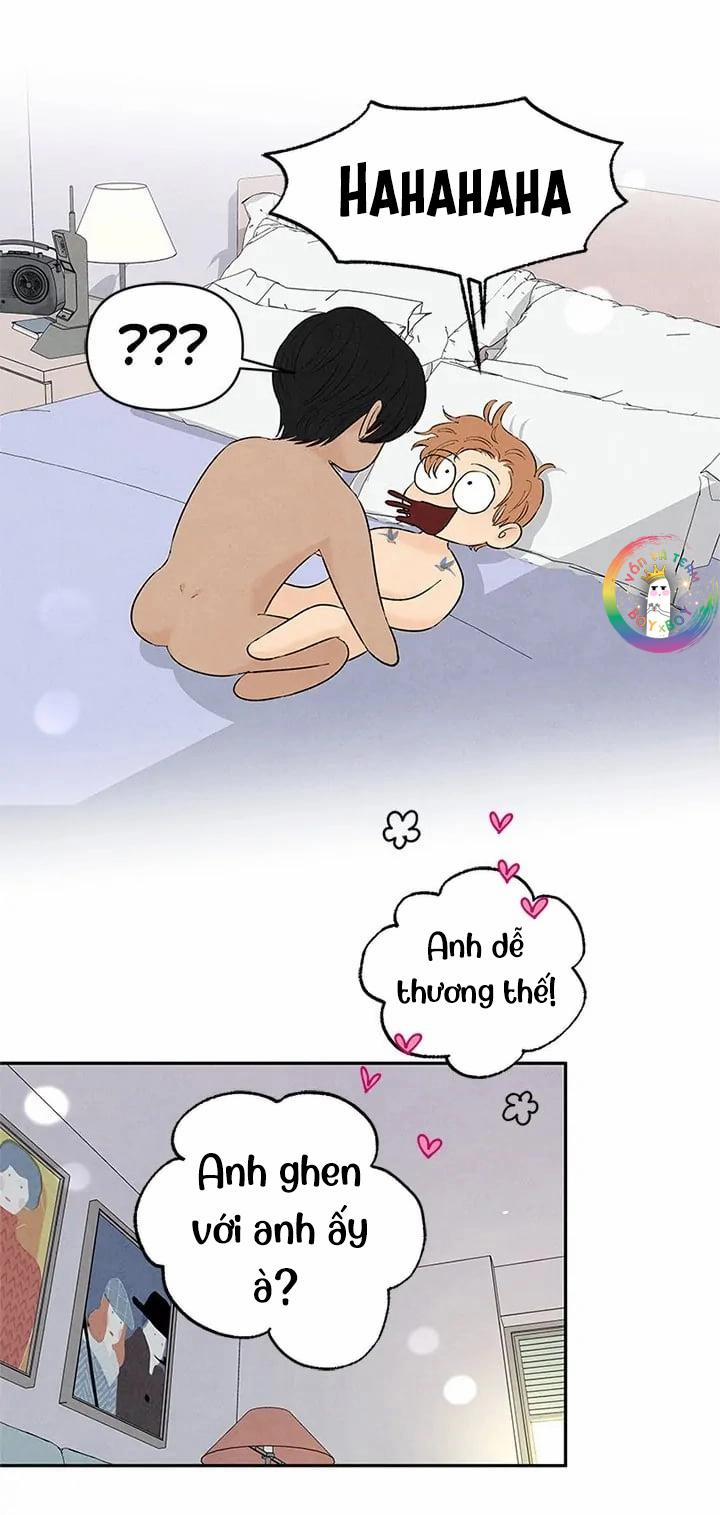 Bona Sort (End) 71 PN1 trang 31