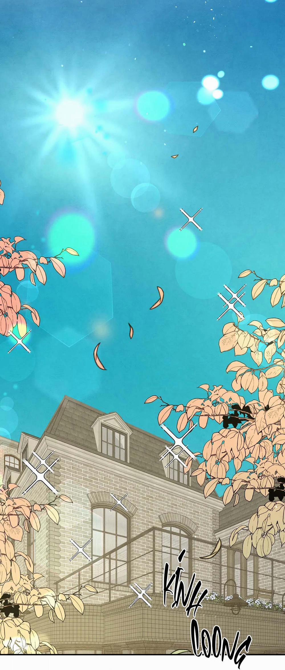 Bona Sort (End) 73 NT3 trang 19