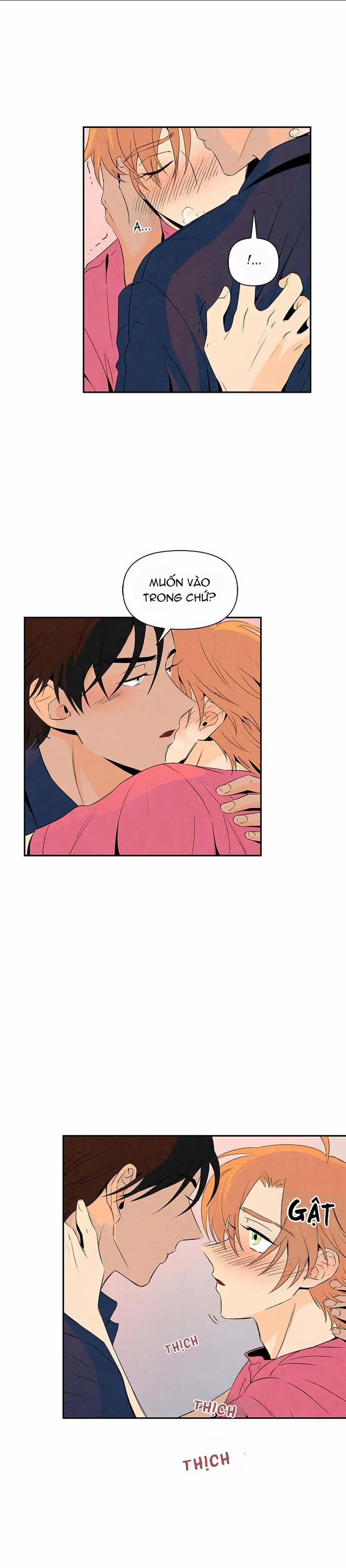 Bona Sort (End) 9 trang 16