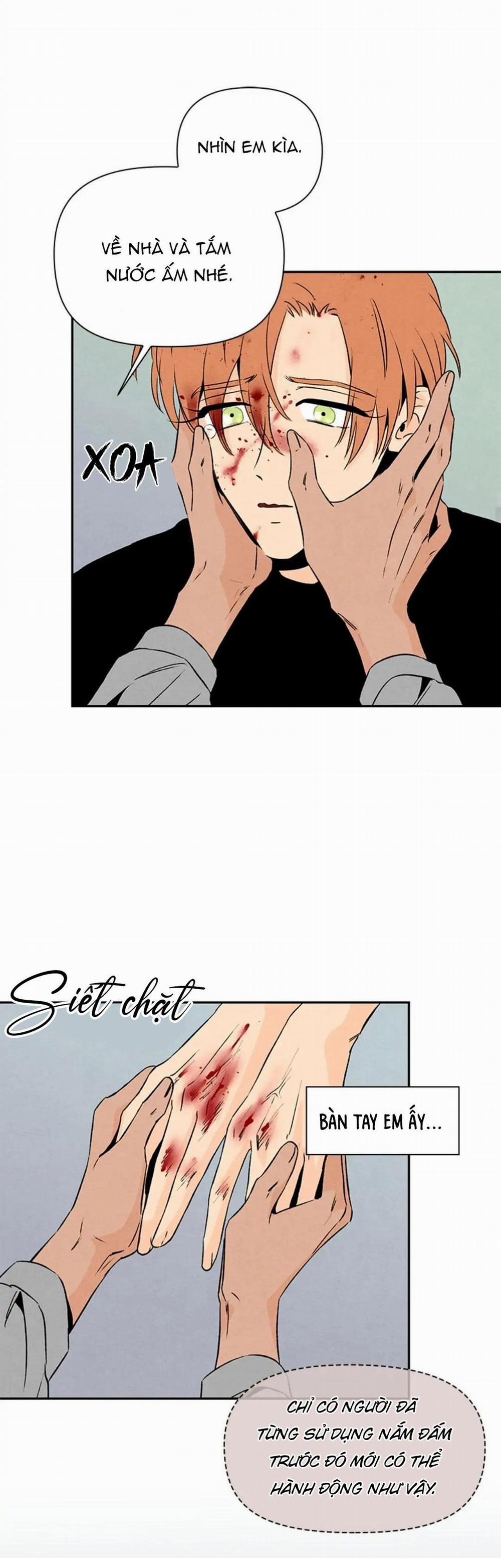 Bona Sort 30 trang 24