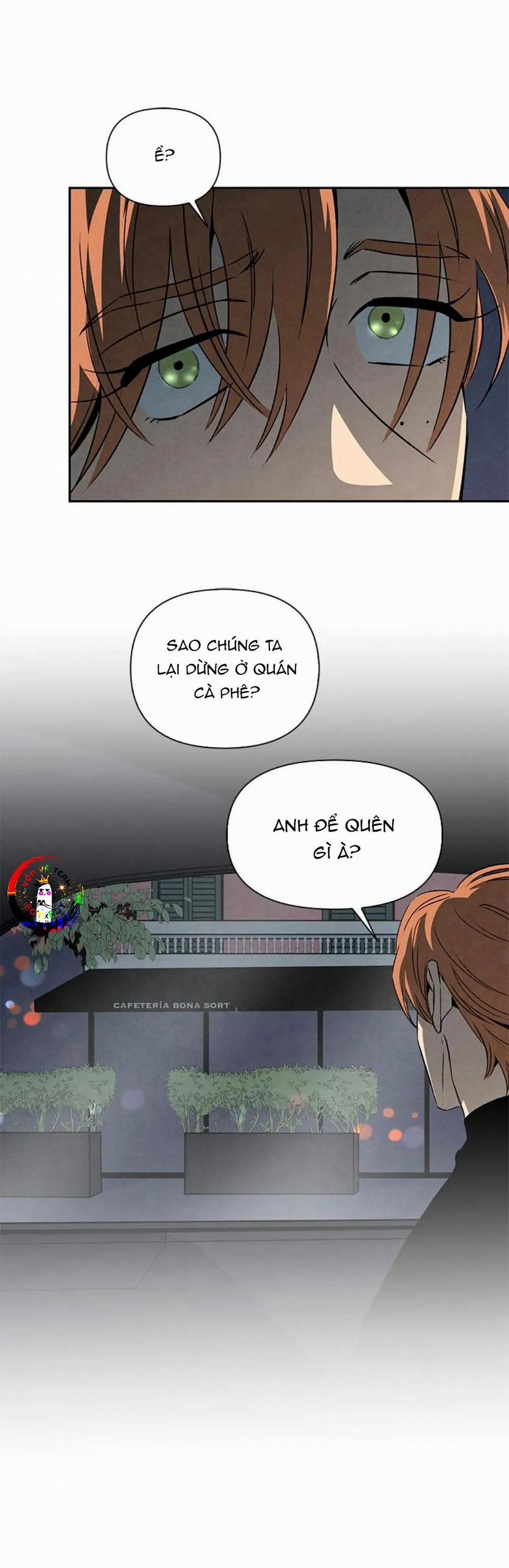 Bona Sort 30 trang 31