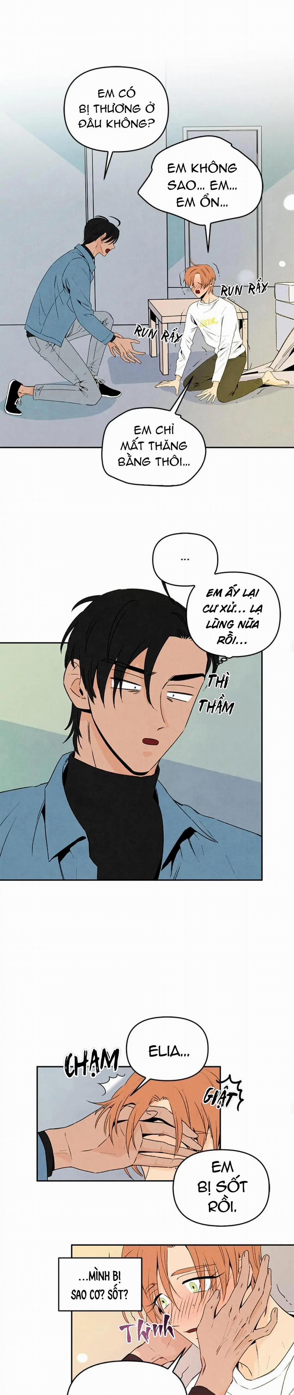 Bona Sort 32 trang 13