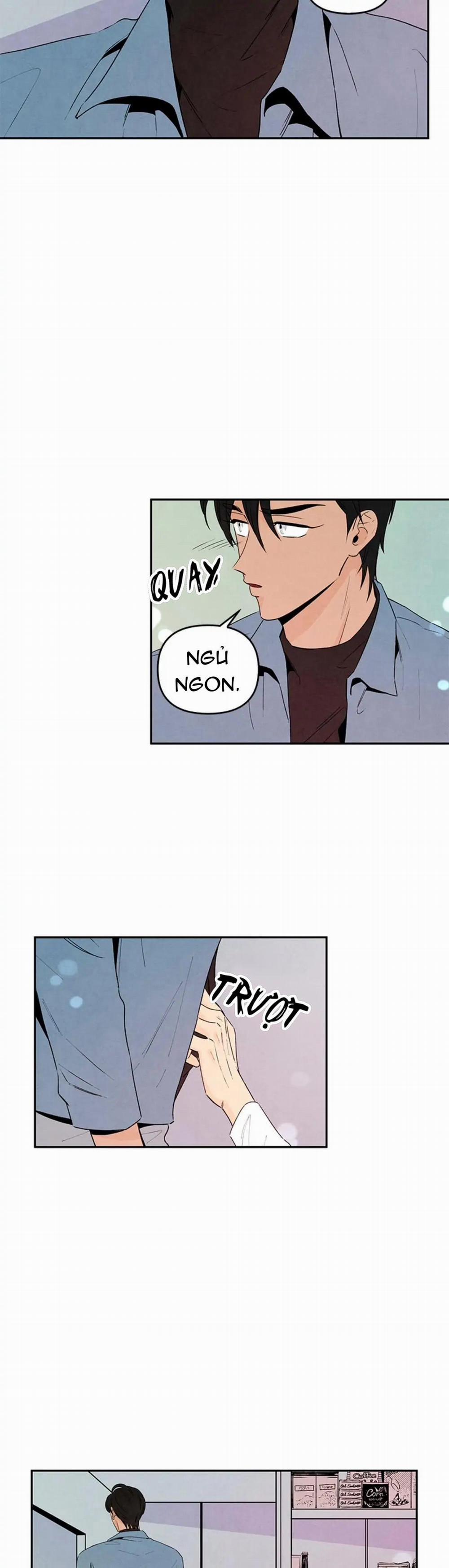 Bona Sort 32 trang 17