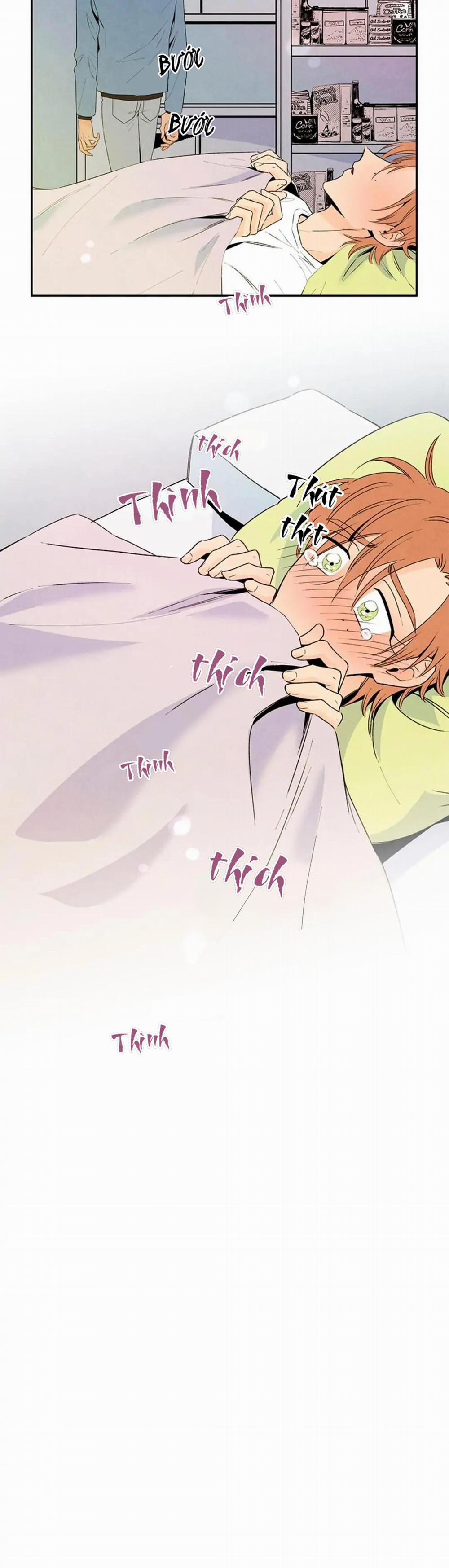 Bona Sort 32 trang 18