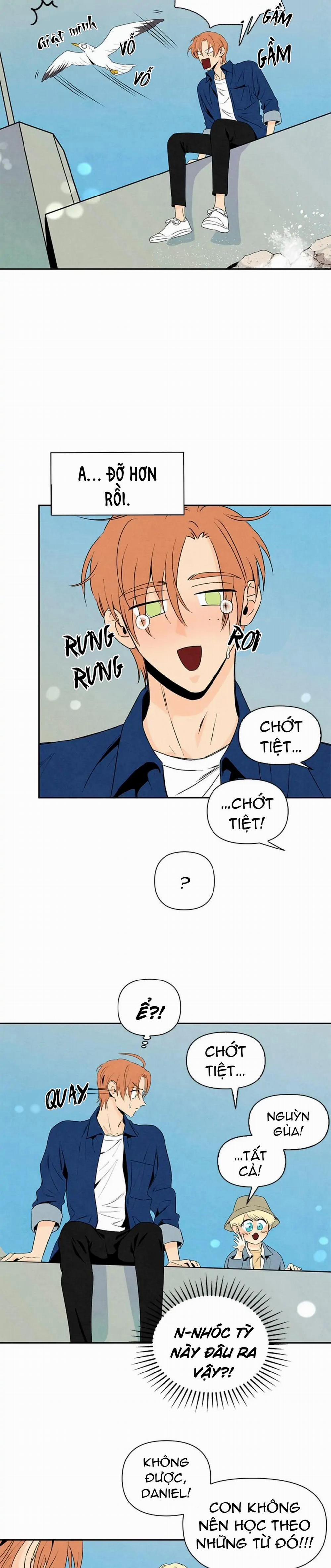 Bona Sort 32 trang 3