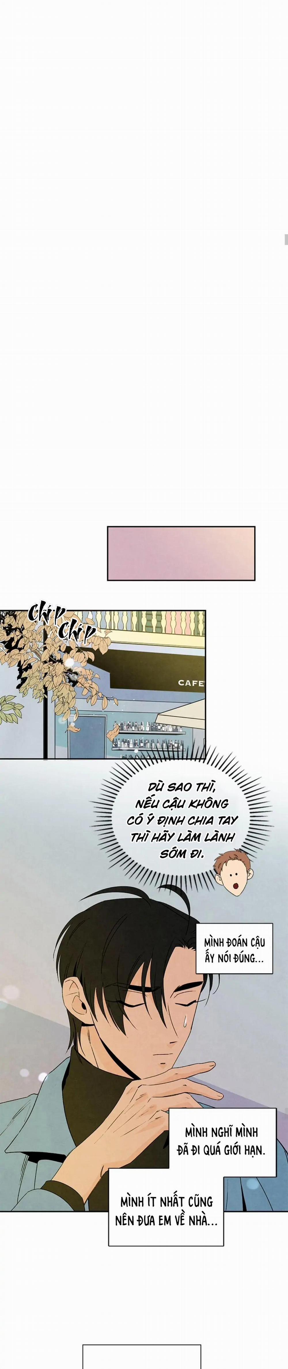 Bona Sort 32 trang 7