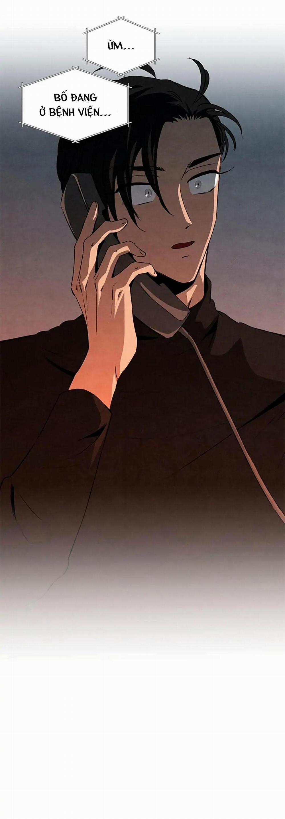 Bona Sort 33 trang 17