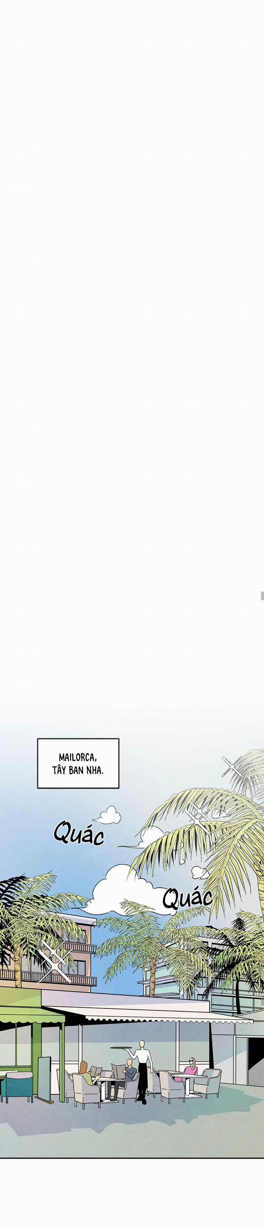 Bona Sort 33 trang 18